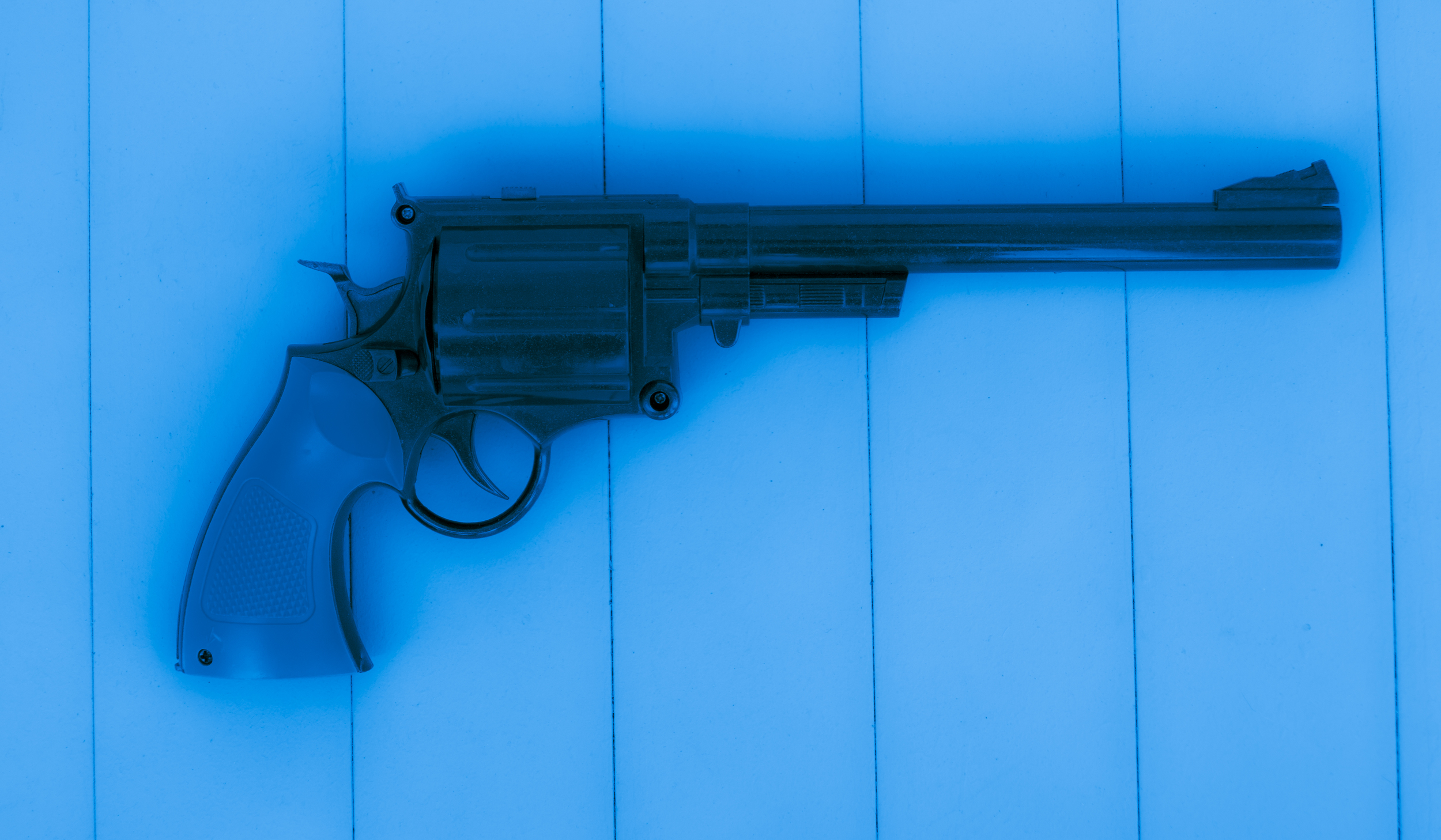 2014-06-25 toy gun-040.jpg