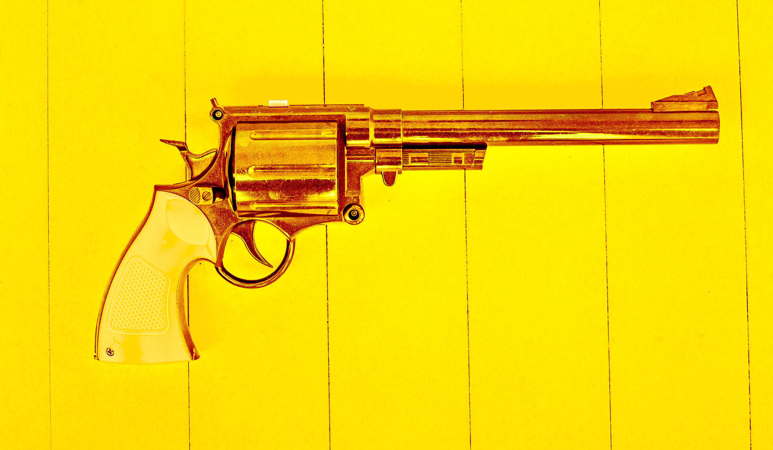 2014-06-25 toy gun-068.jpg