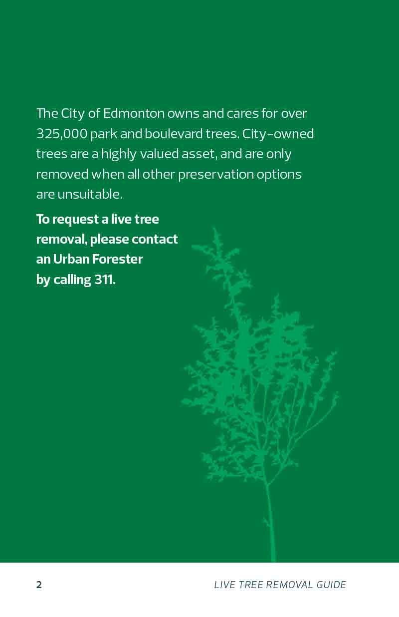 COE_Live-Tree-Removal-Guidelines_20170714_web-2.jpg