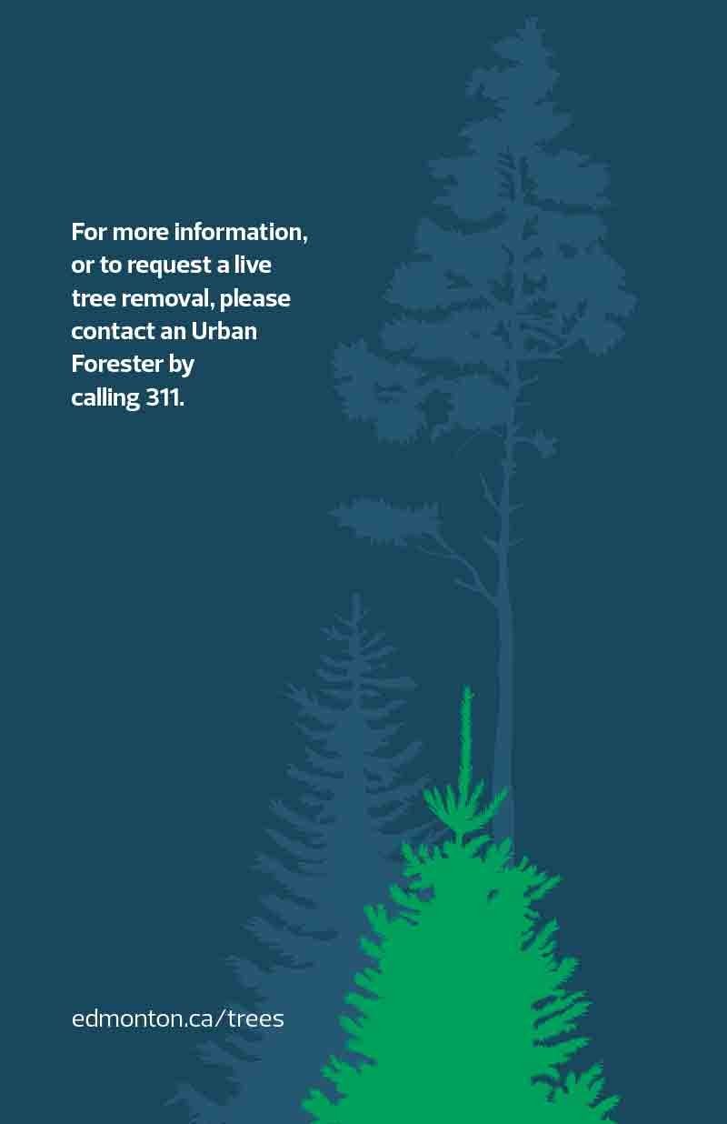 COE_Live-Tree-Removal-Guidelines_20170714_web-10.jpg
