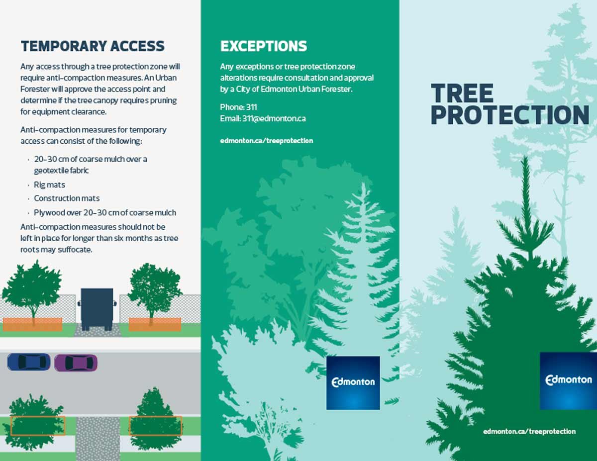 COE_tree-protection-brochure_20170518_web-1.jpg