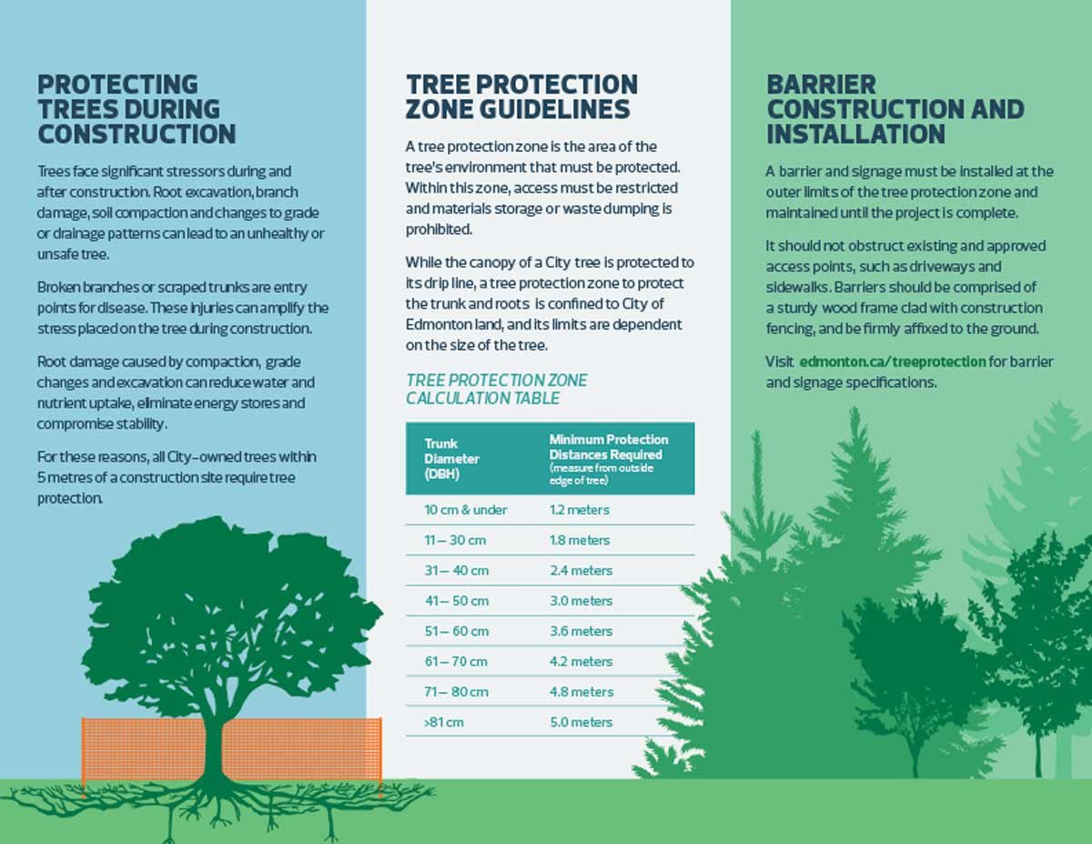 COE_tree-protection-brochure_20170518_web-2.jpg