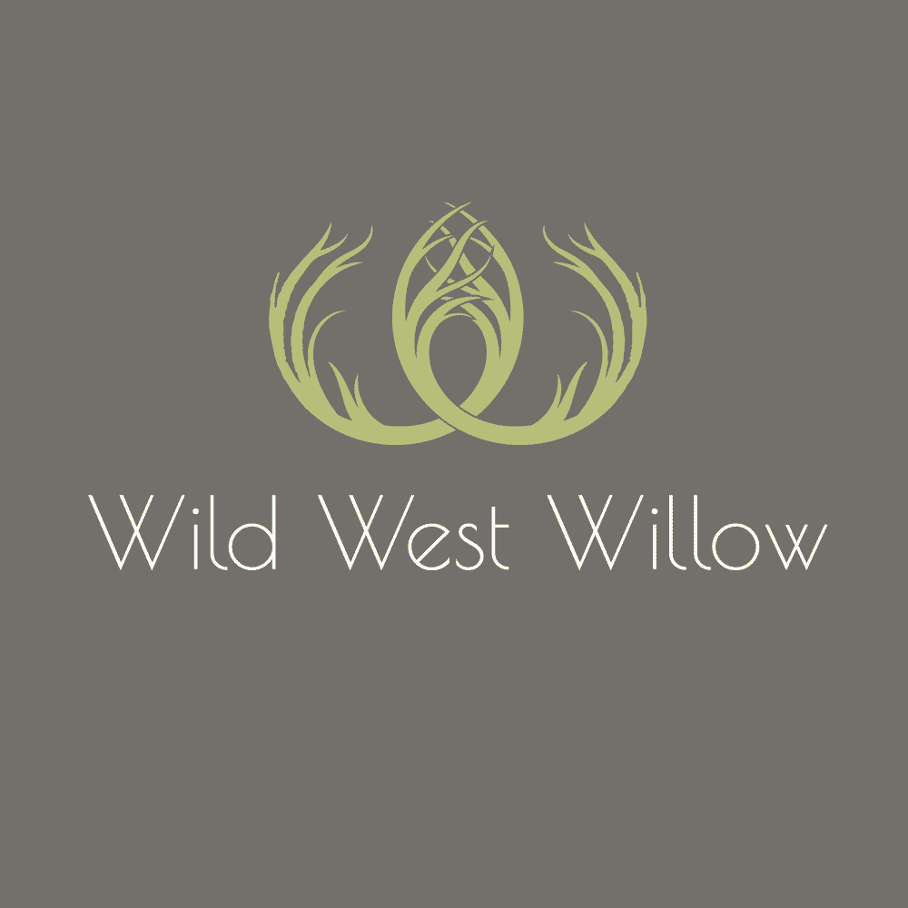 wildwestwillow_social-profile_full-logo_colour-on-grey.png