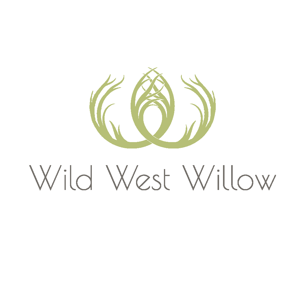 wildwestwillow_social-profile_full-logo_colour-on-white.png