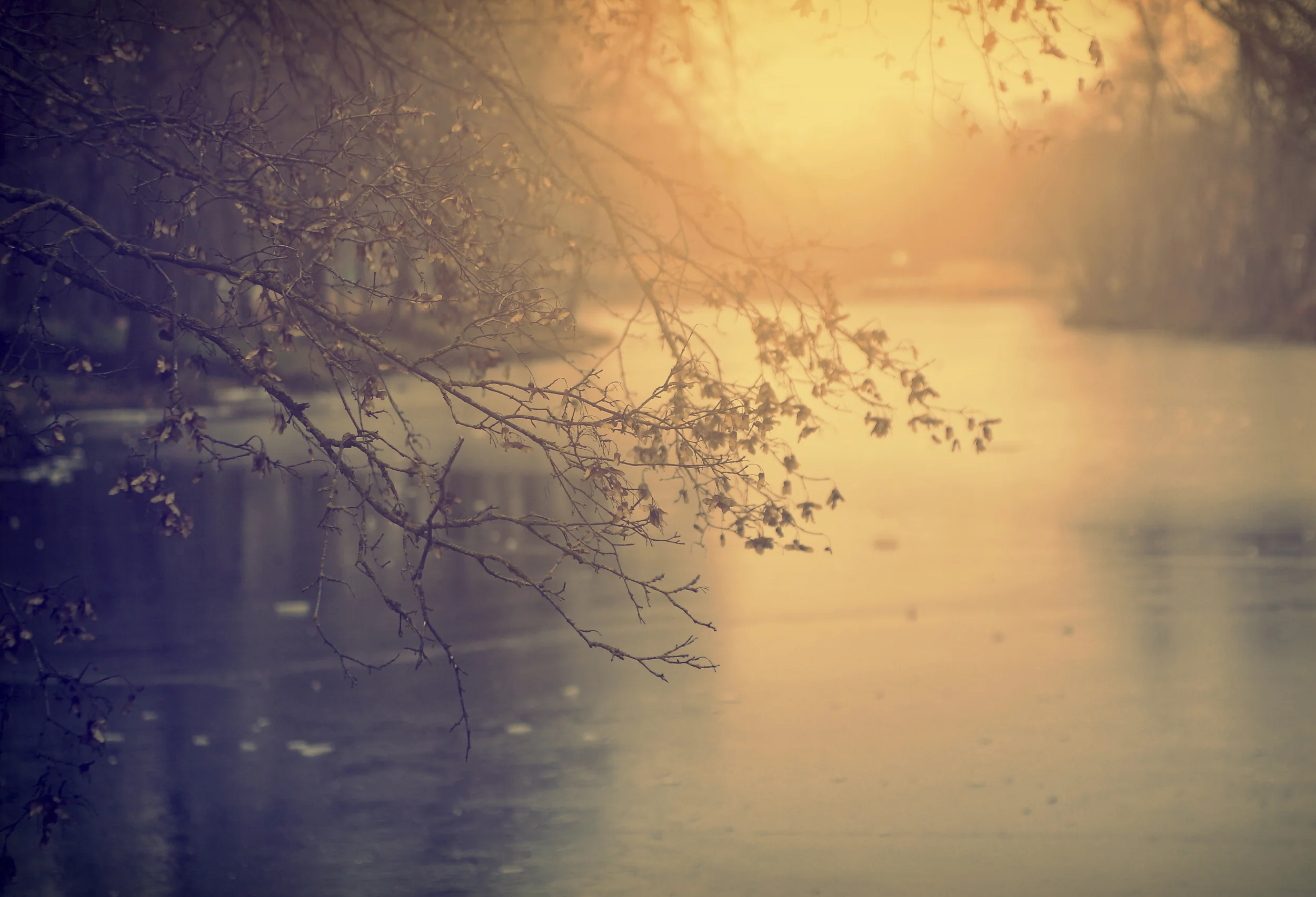 Photo by Balazs Kovacs/iStock / Getty Images