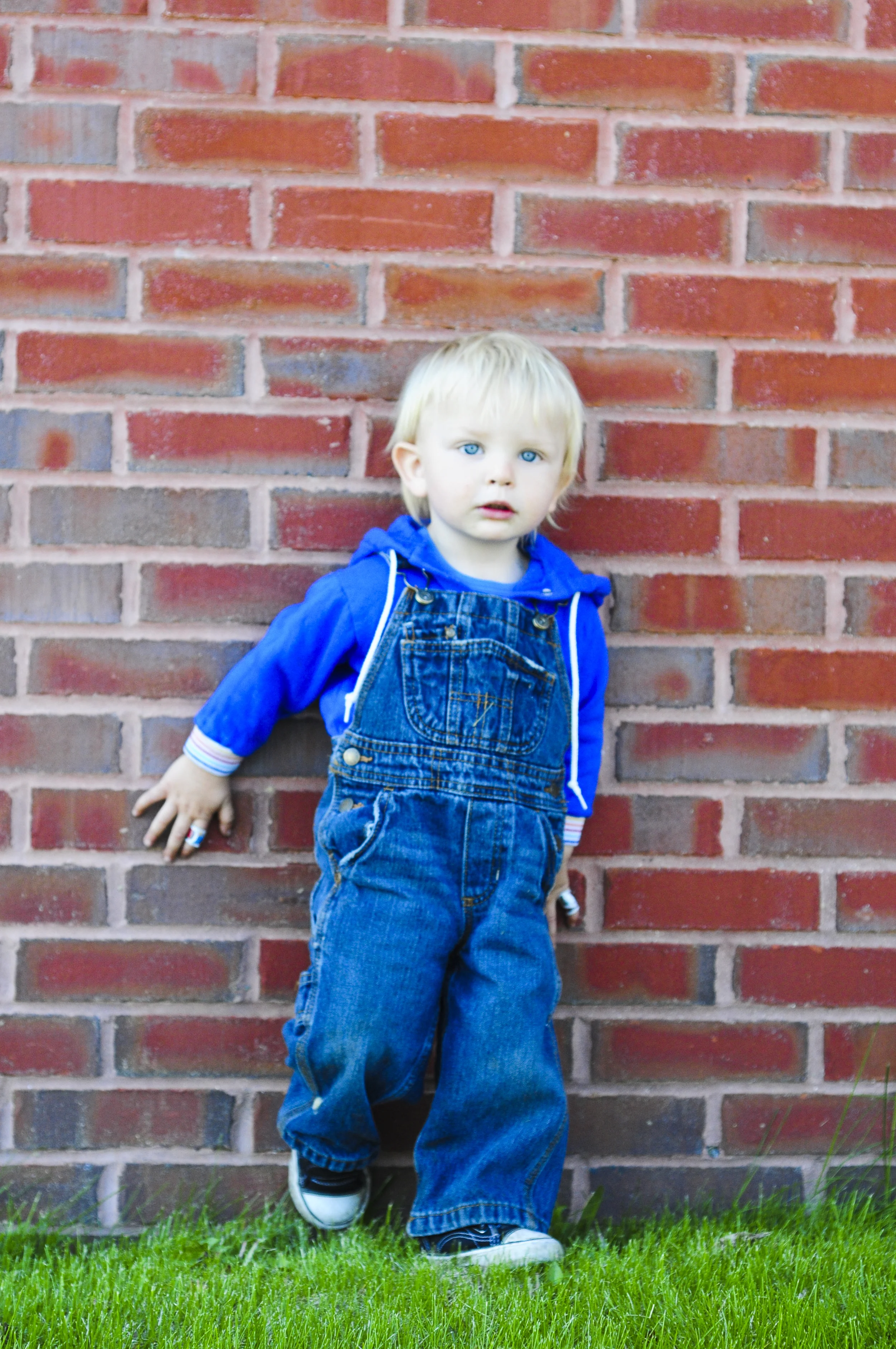 a.big.farmers.market.max.odie.driftless.mama.alex.DSC_8545.jpg