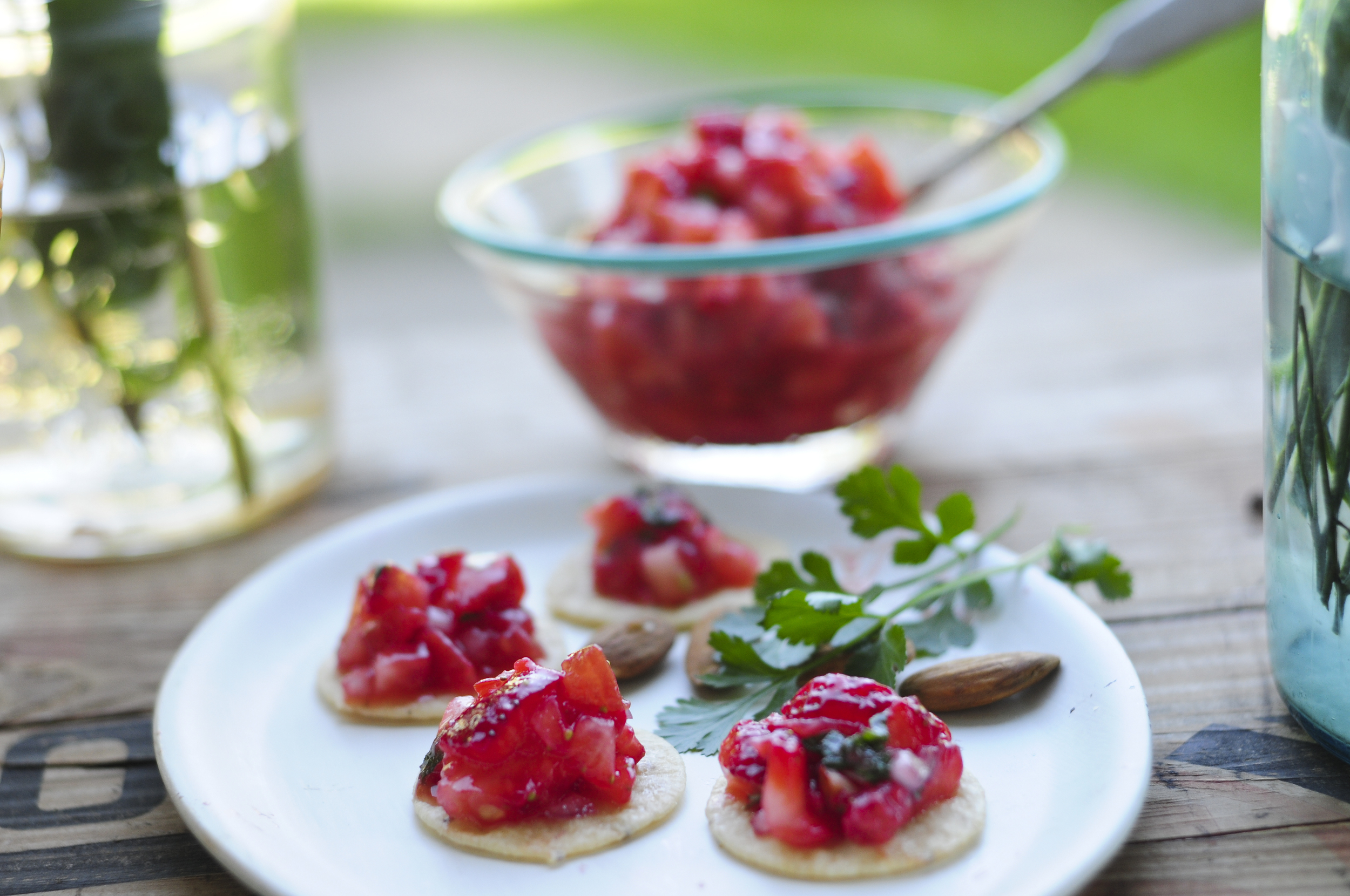 a.big.strawberry.tomato.salsa.craker.forest.food.DSC_9037.jpg