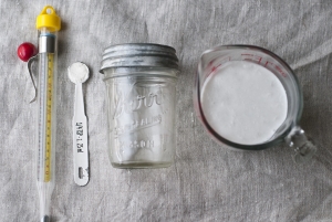 a.600.coconut.milk.yogurt.nice.things.DSC_2257.jpg