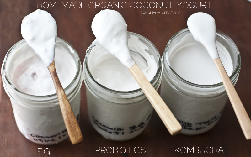 a.800.kombucha.fig.probiotics.yogur.homemade.nice.things.milk.DSC_2722.jpg