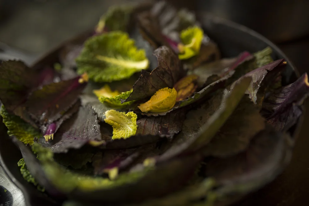 FAT-Steamed-Cabbage-Leave-Vancouver-Food-118.jpg