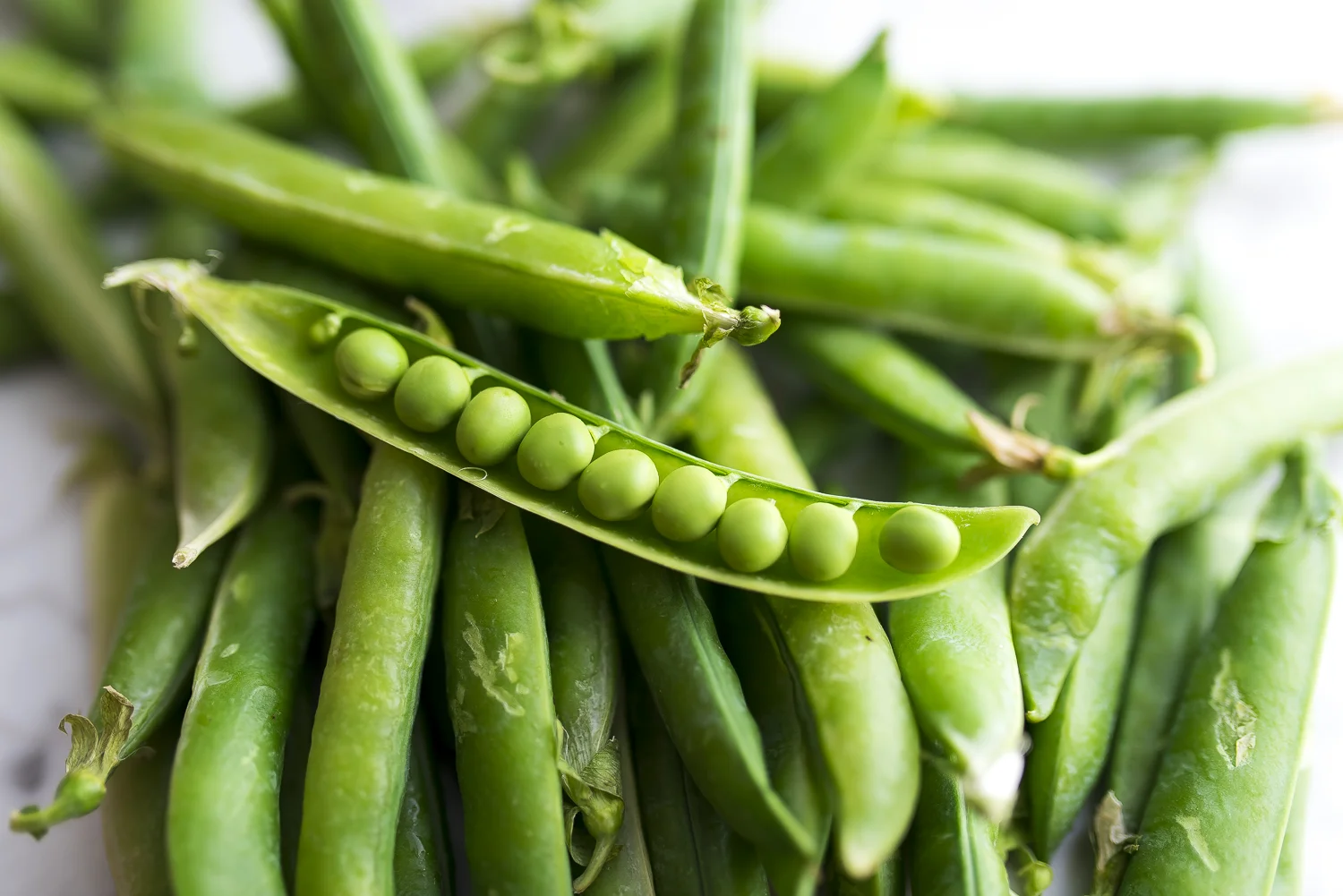 FAT-Pea-Salad-Summer-Vancouver-Food-105.jpg