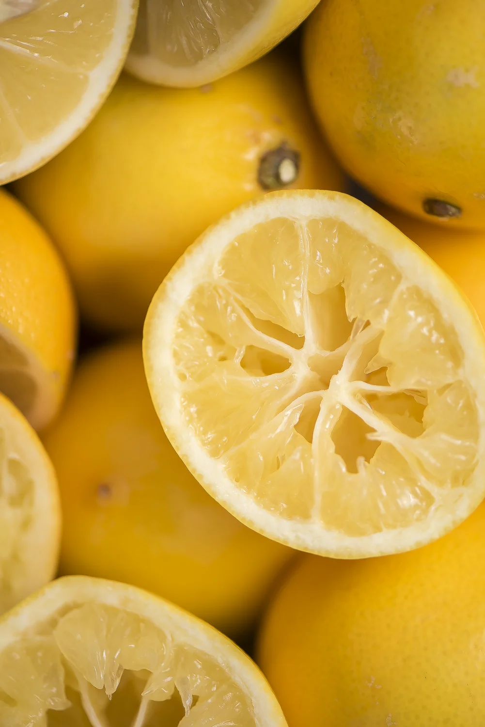 FAT-Lemon-Mouse-Local-Vancouver-Food-Blog-1015.jpg