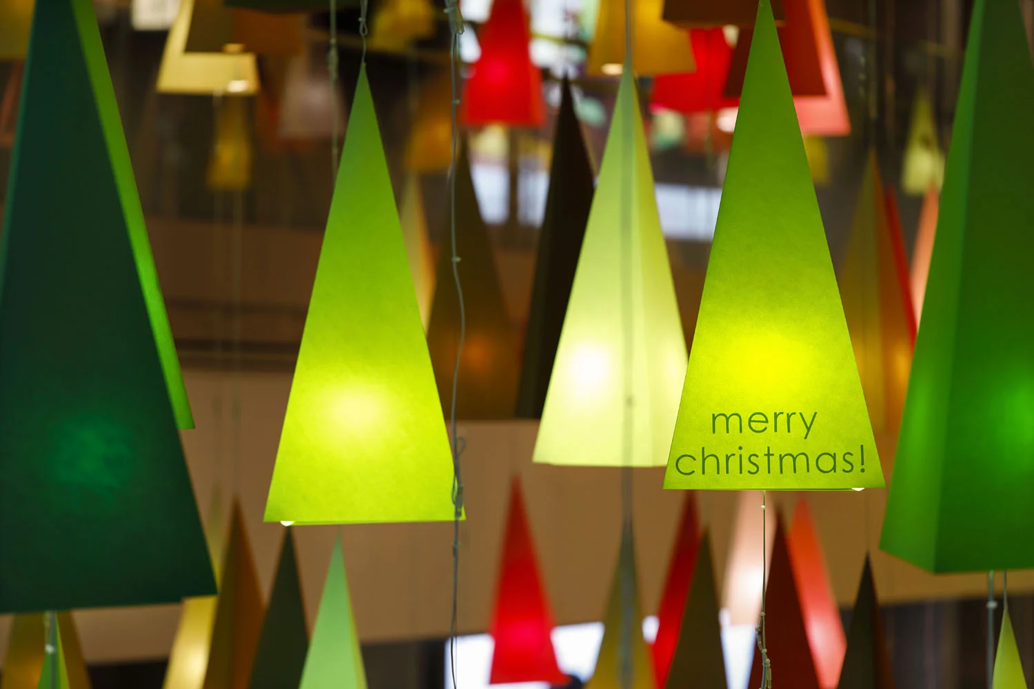 10_emmanuelle_moureaux_Christmas_Forest.jpg