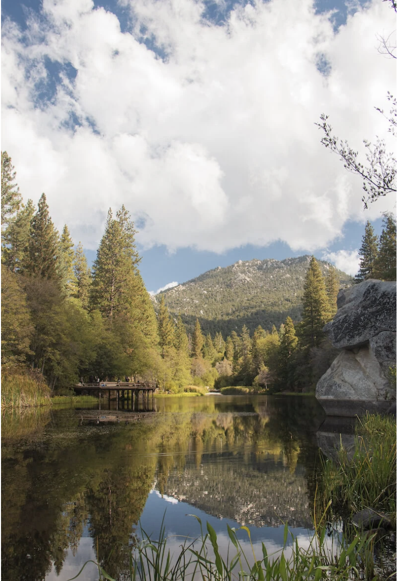 Screenshot 2026-04-20 at 7.58.16 AM.png