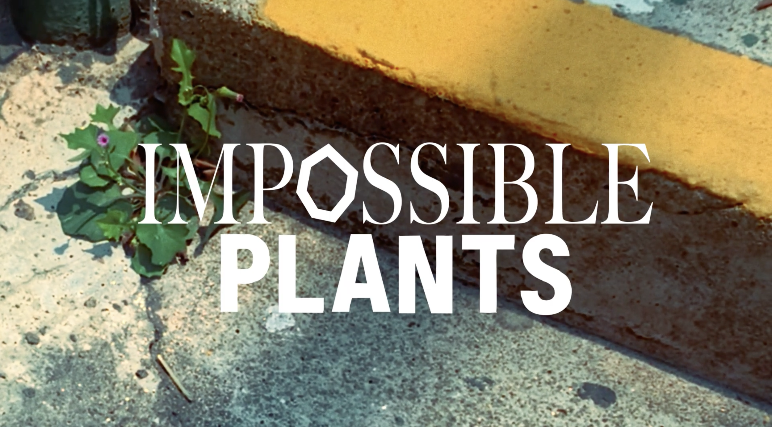 CORONA / IMPOSSIBLE PLANTS