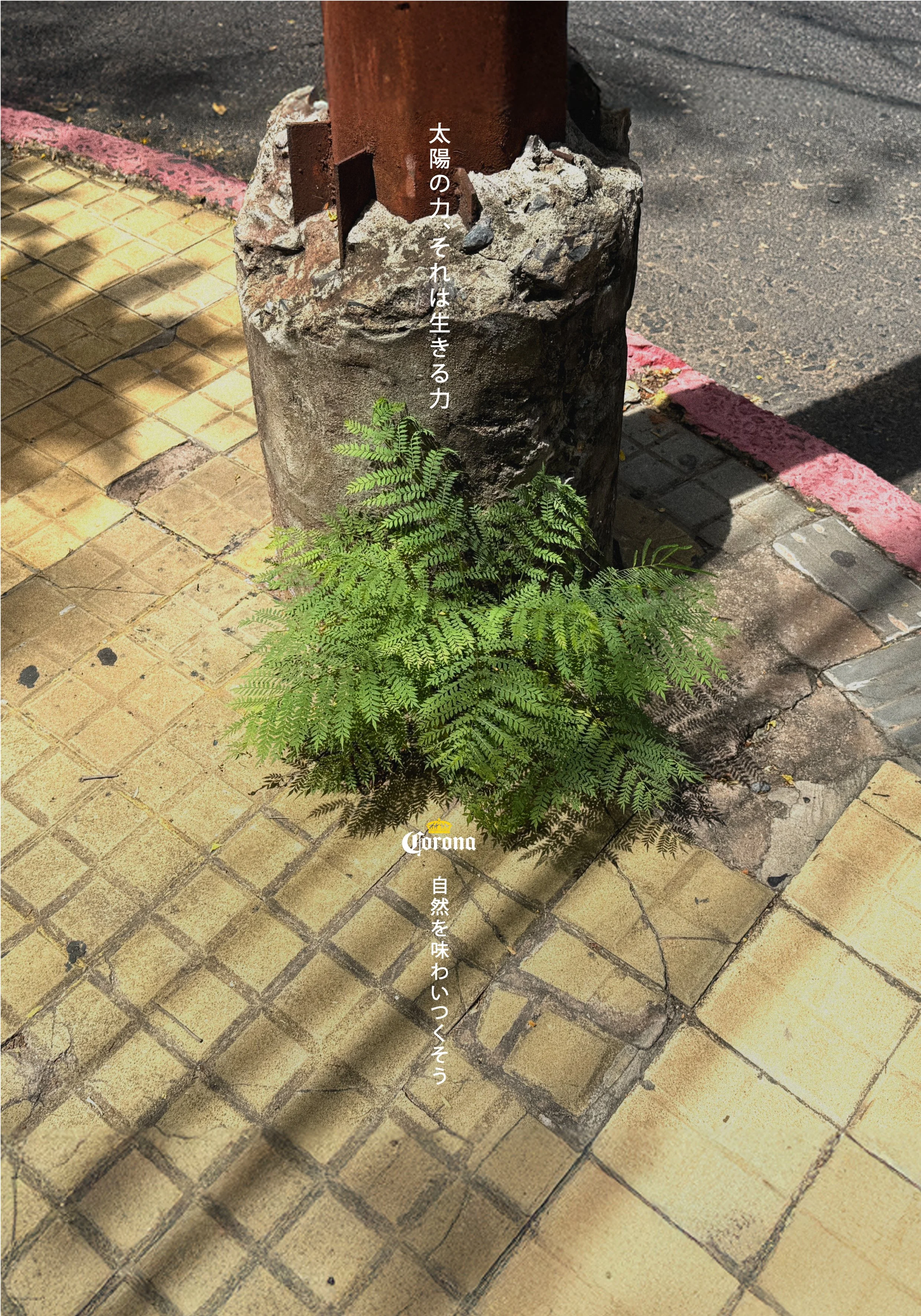 April3_KV_-03.jpg