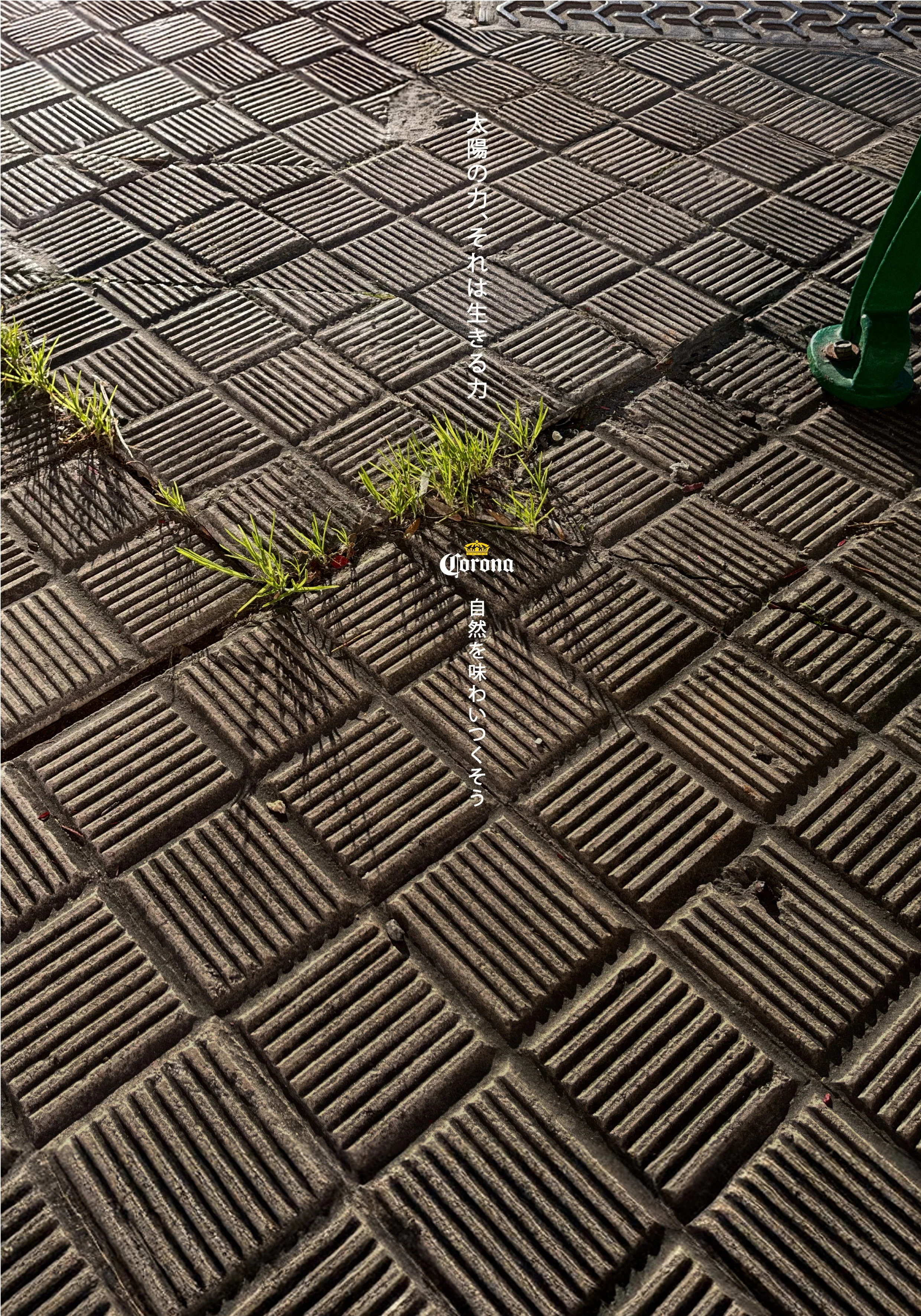 April3_KV_-04.jpg
