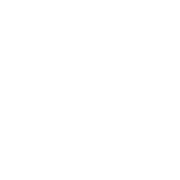 Black Ally