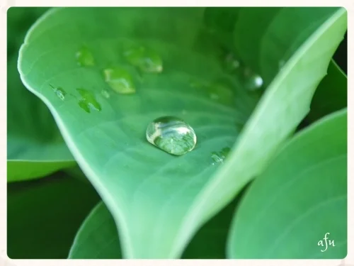 Hildegard of Bingen on the Greening of the Soul