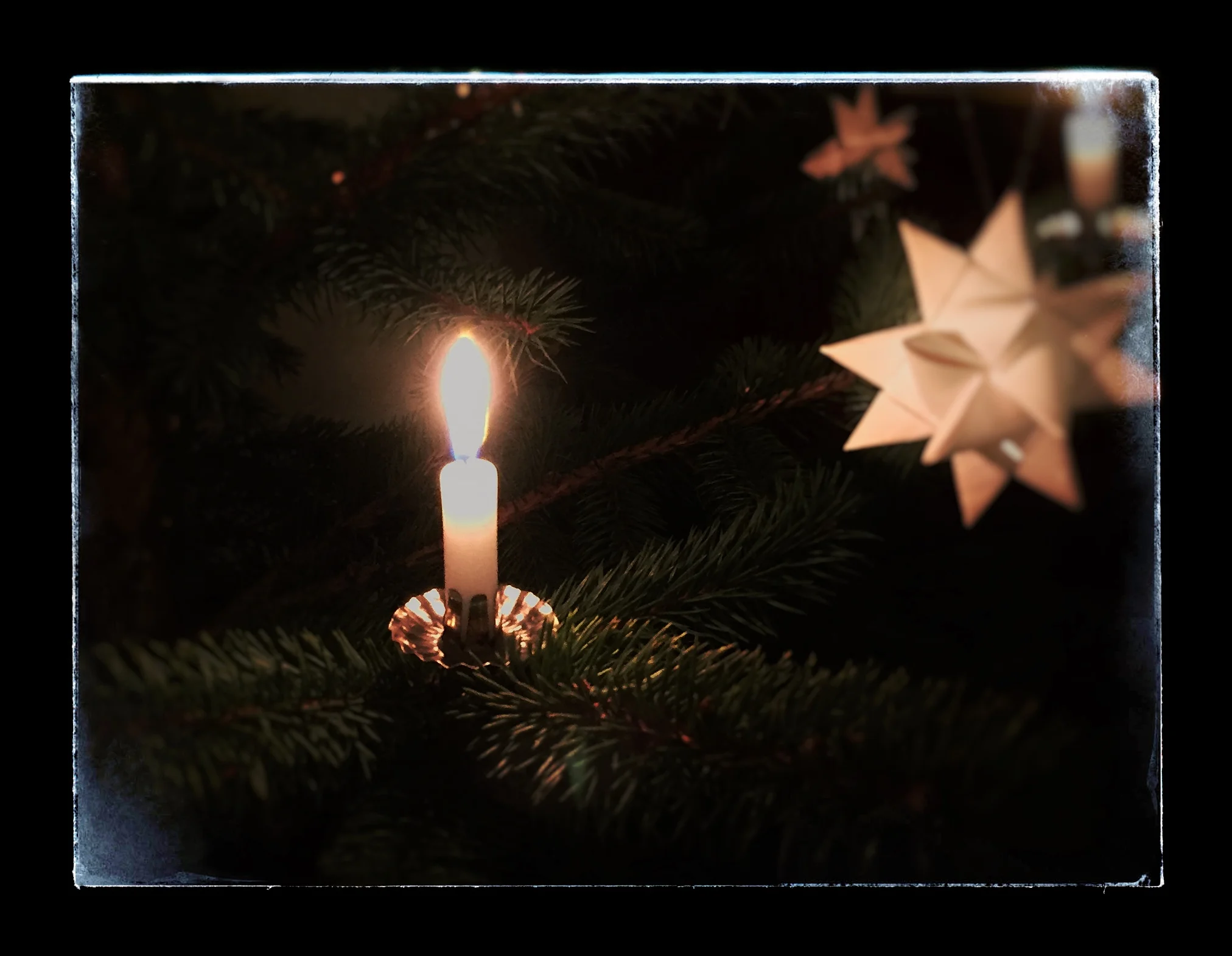 The Eleventh Day of Christmas. Following the Star