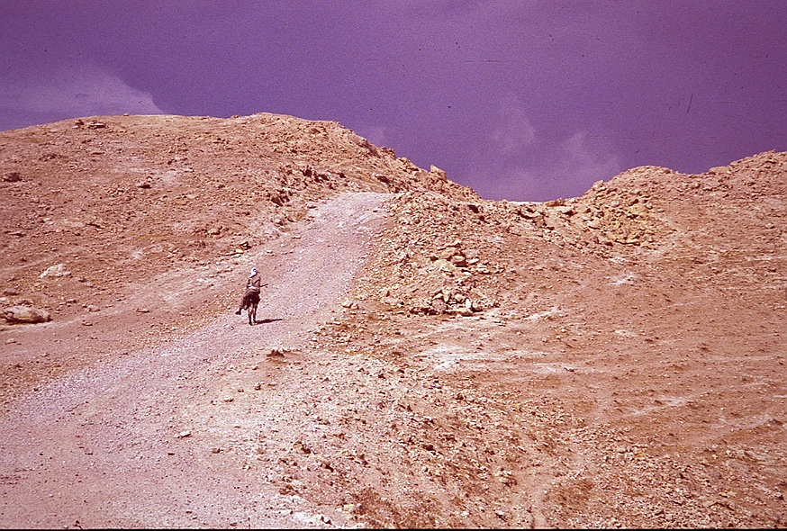 Lone rider in the Judean Desert, by Almut Furchert
