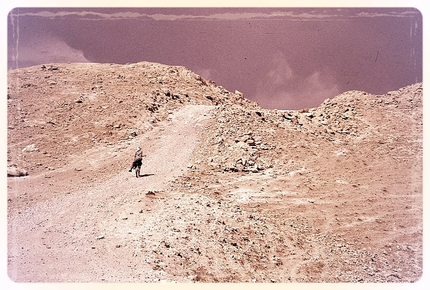 Learning from the Desert Elders: Taking Conversation to Heart