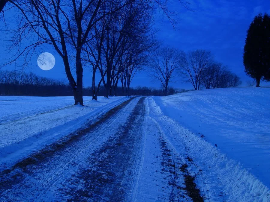 The 8th Day of Christmas: Falling in Love