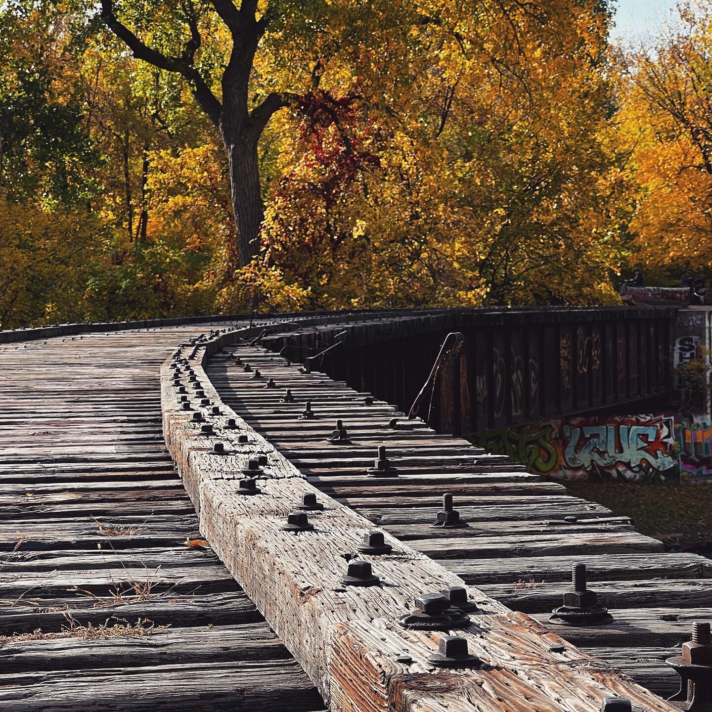 #fallbeauty 

On Chuck&rsquo;s birthday we went on a walk in the cities. And lo and behold I left him and little one behind to balance on this retired train bridge over the Mississippi. Some #alonetime with fall colors. All I needed 😇

Hope you find