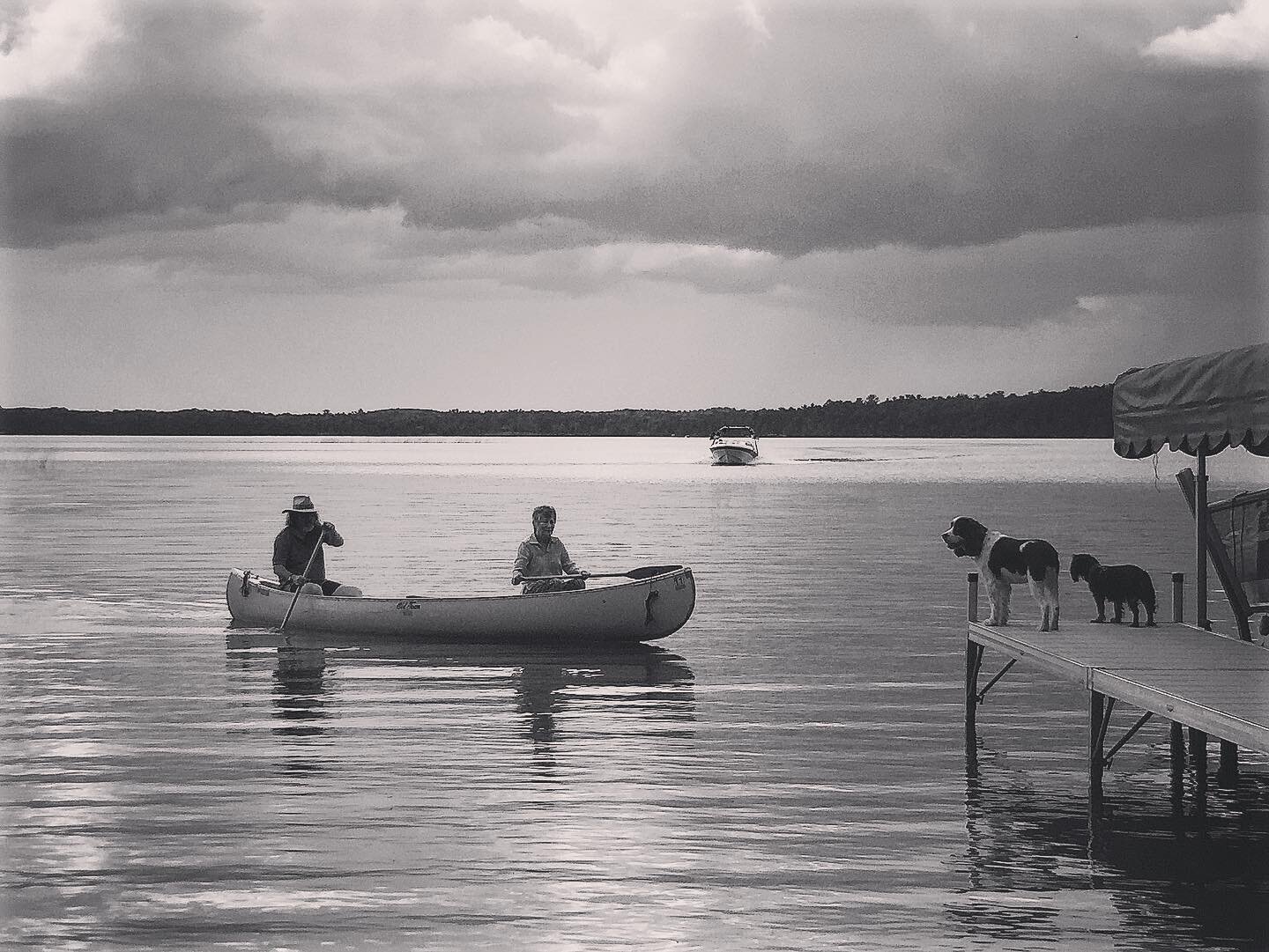 #atthelake 
Always amazed how quiet comes in many shades  and breathing turns into  prayer 🙏

.
.
.
#moodyshots #moodytones #natureshooters