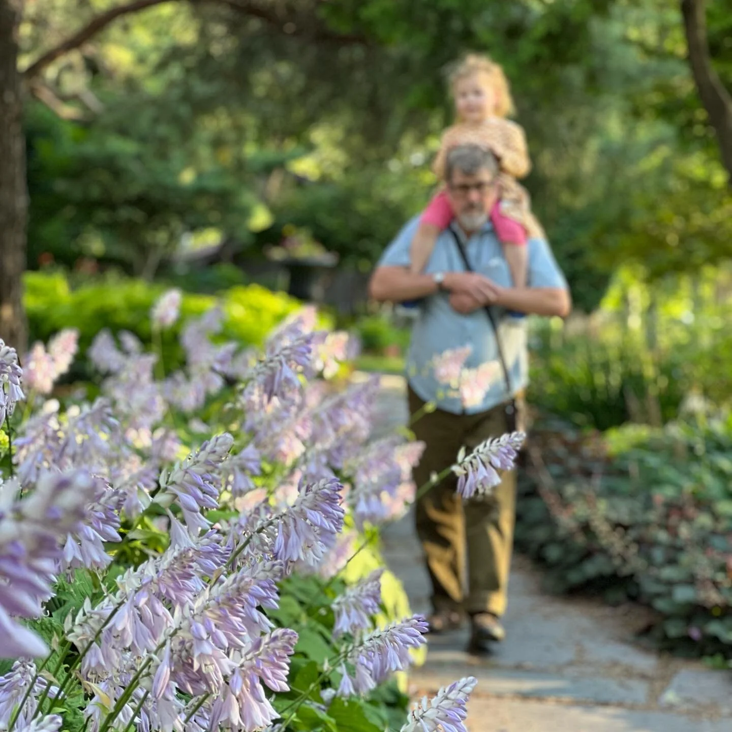 Walking the gardens. Enjoying the gifts of living. The laughter of a child, the care of a loved one, flowers grazing my feet. 

Finding the sacred in the ordinary is a life long practice. I am only a beginner 😇

You?