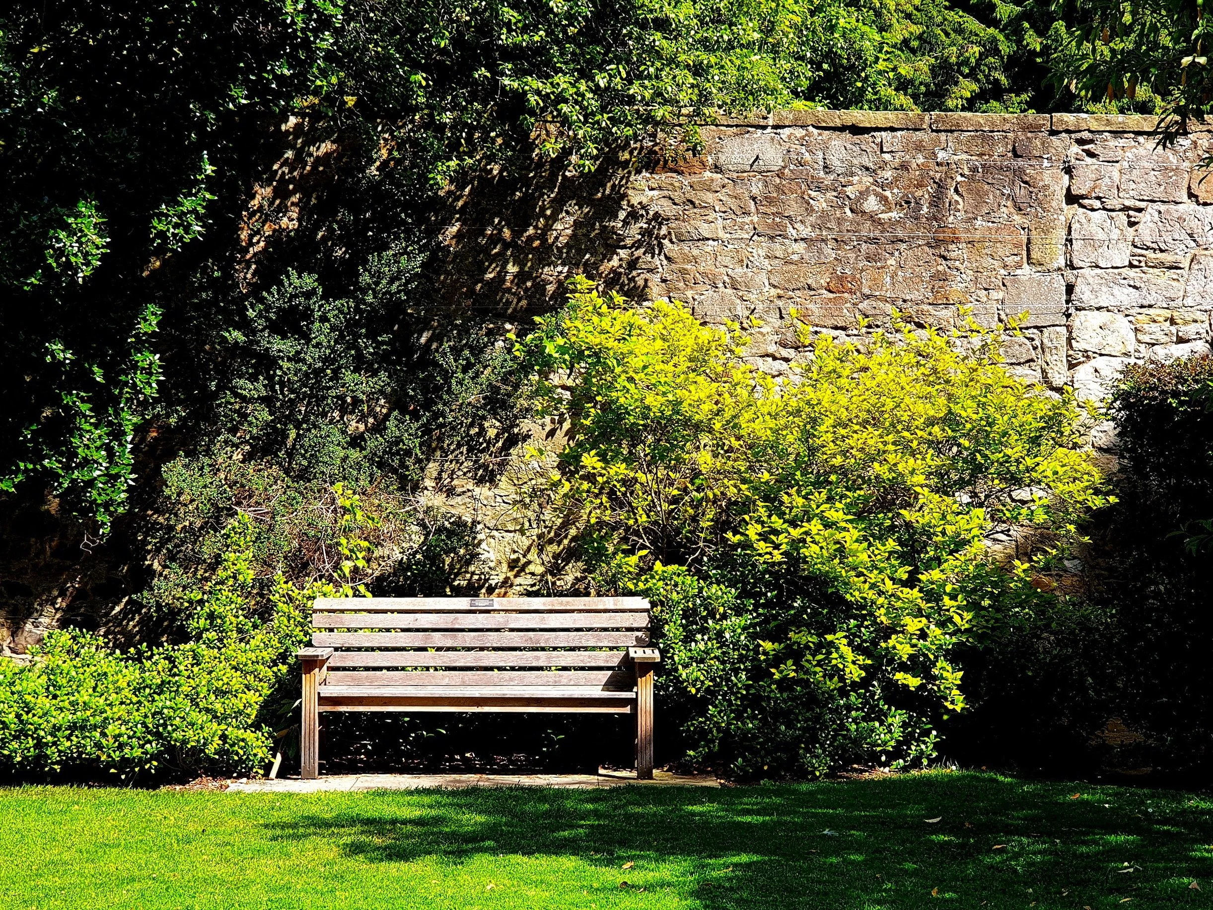Die Seele zum Blühen bringen. Einkehrtage mit Hildegard von Bingen im Stadtkloster Segen