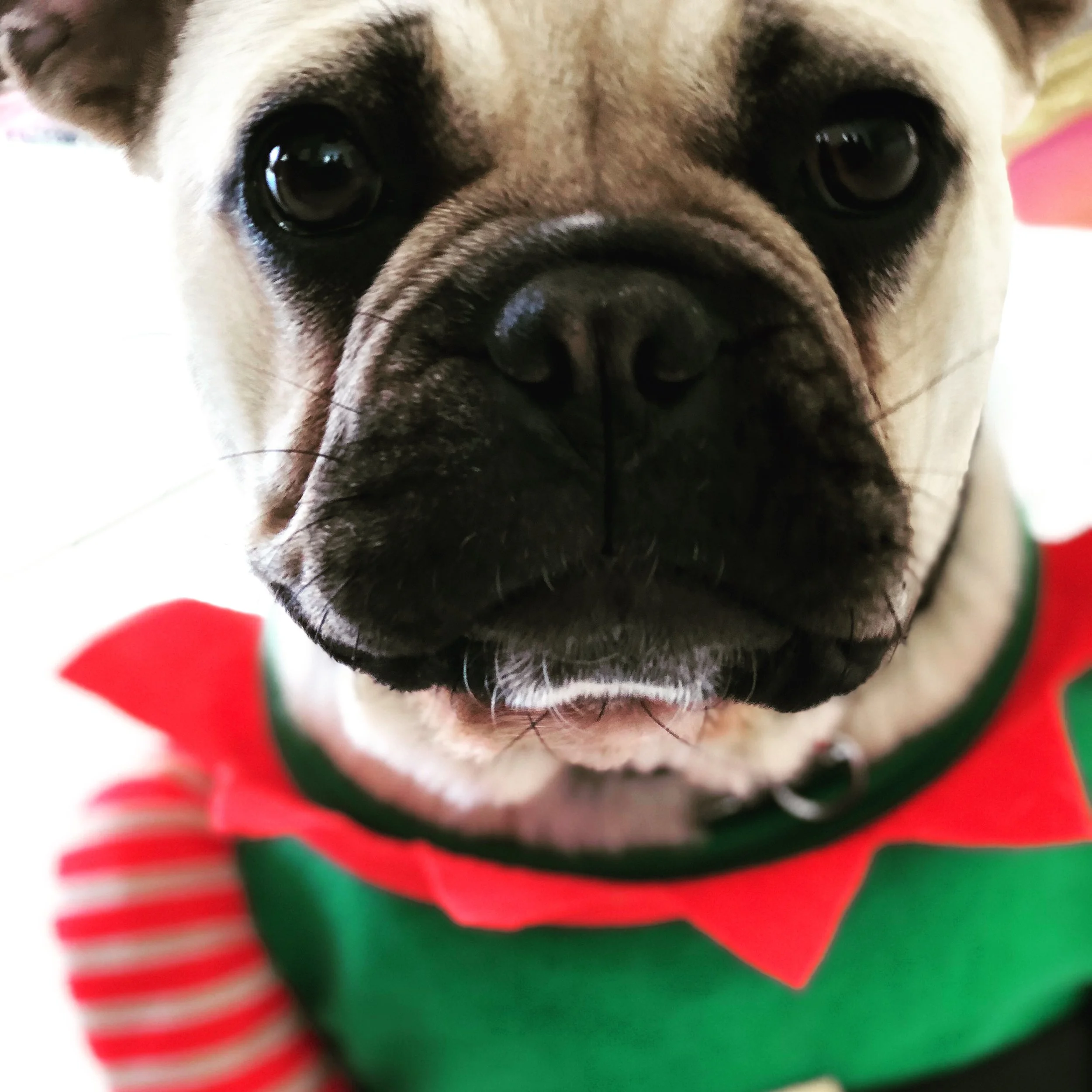 Culture is for Life - Not just for Christmas