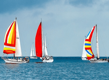 14 Things to Learn About Your Competitors 
