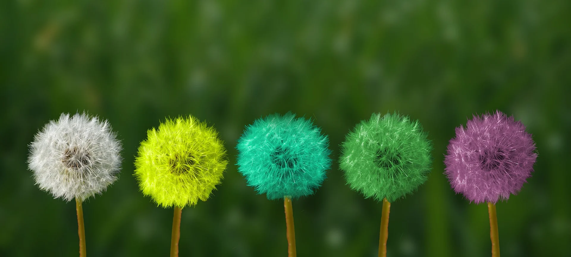 The Marketing Evolution: Then and Now