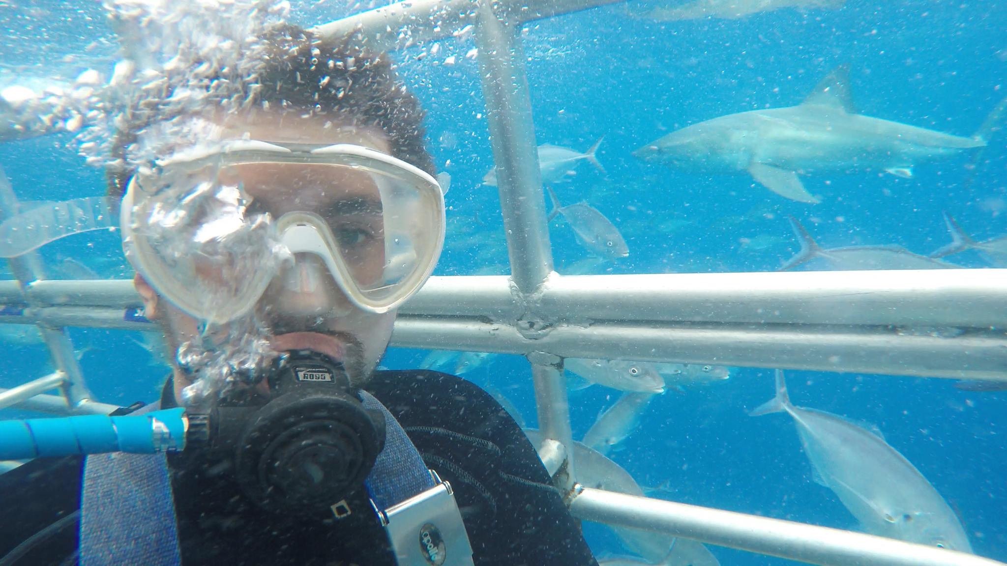 My Australian Internship