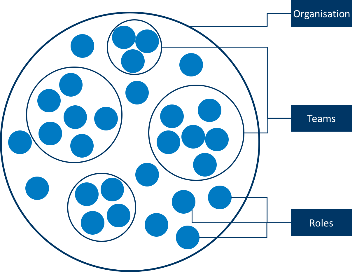 Holocratic organisational structure