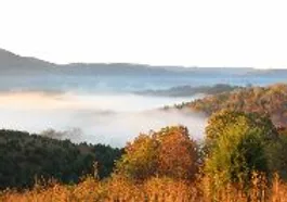 USA: Well Being Foundation, Tazewell, TN 37879