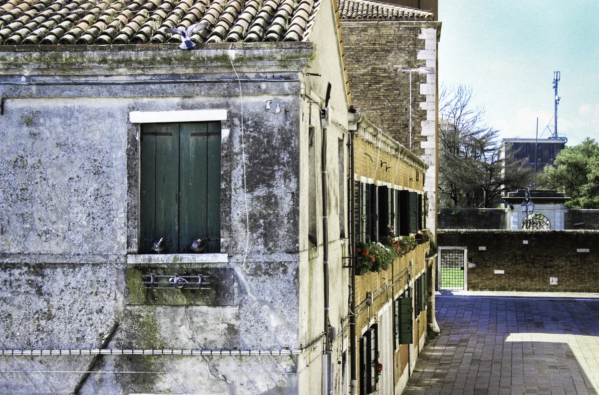 IMG_4111 as Smart Object-1_small.jpg