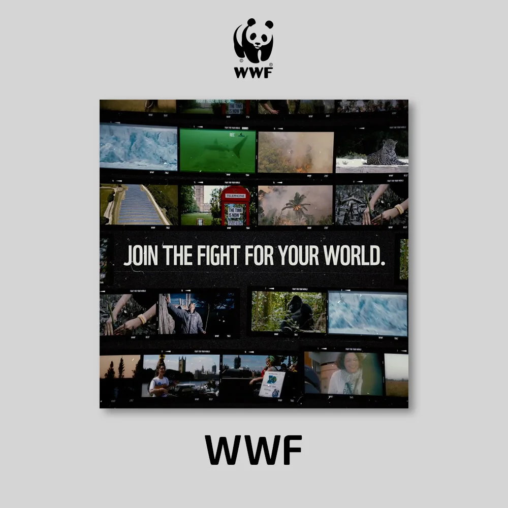 WWF_Years.jpg