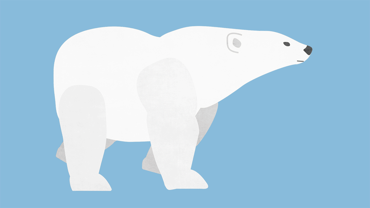Polarbear.gif