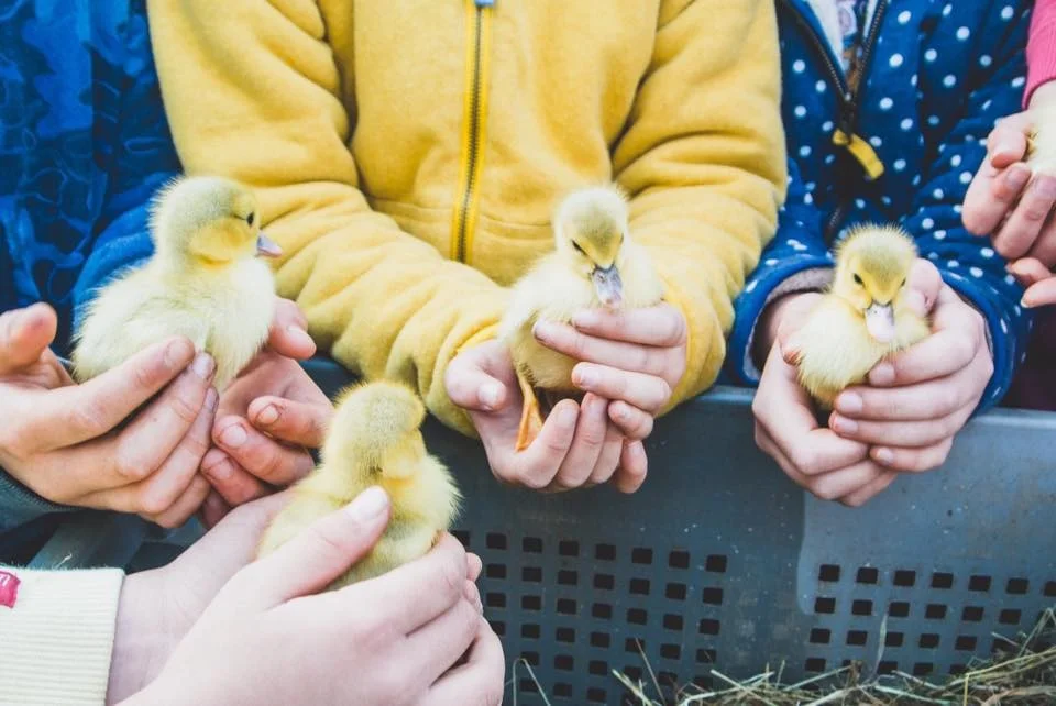 Easter Holidays Farm Camp - Week 1