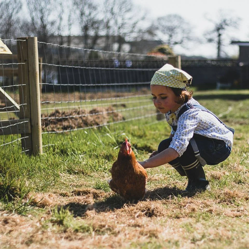May Half Term Farm Camp