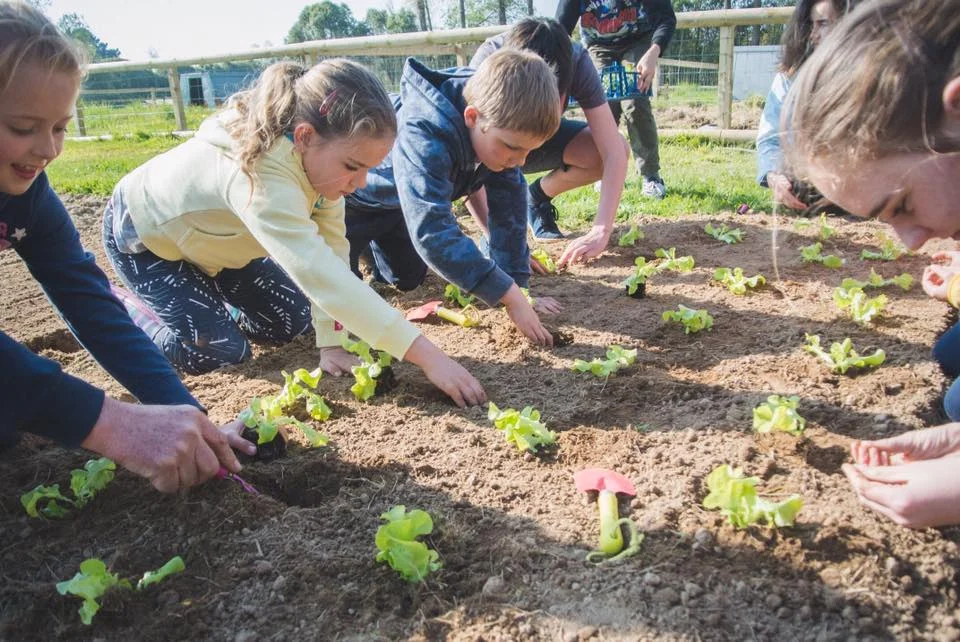Summer Holidays Farm Camp - Week 1