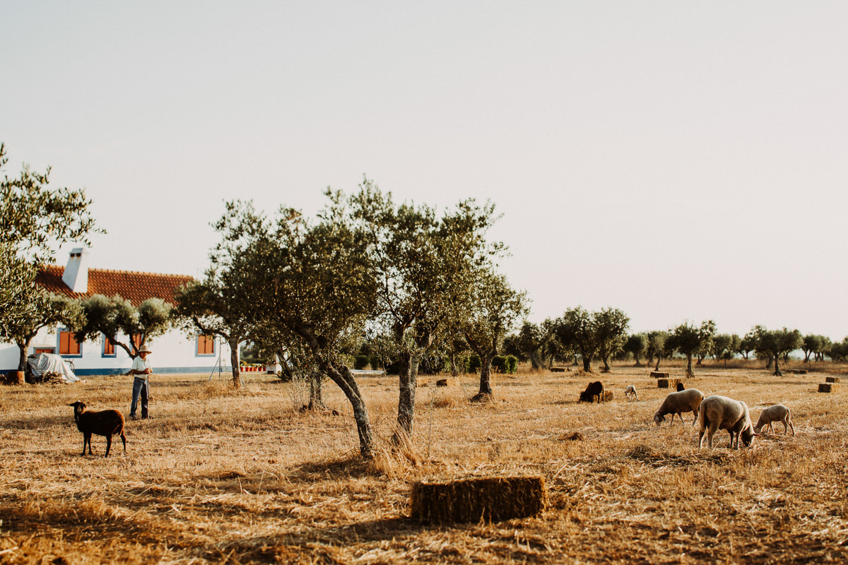 Alentejo Portugal Wedding Photographer