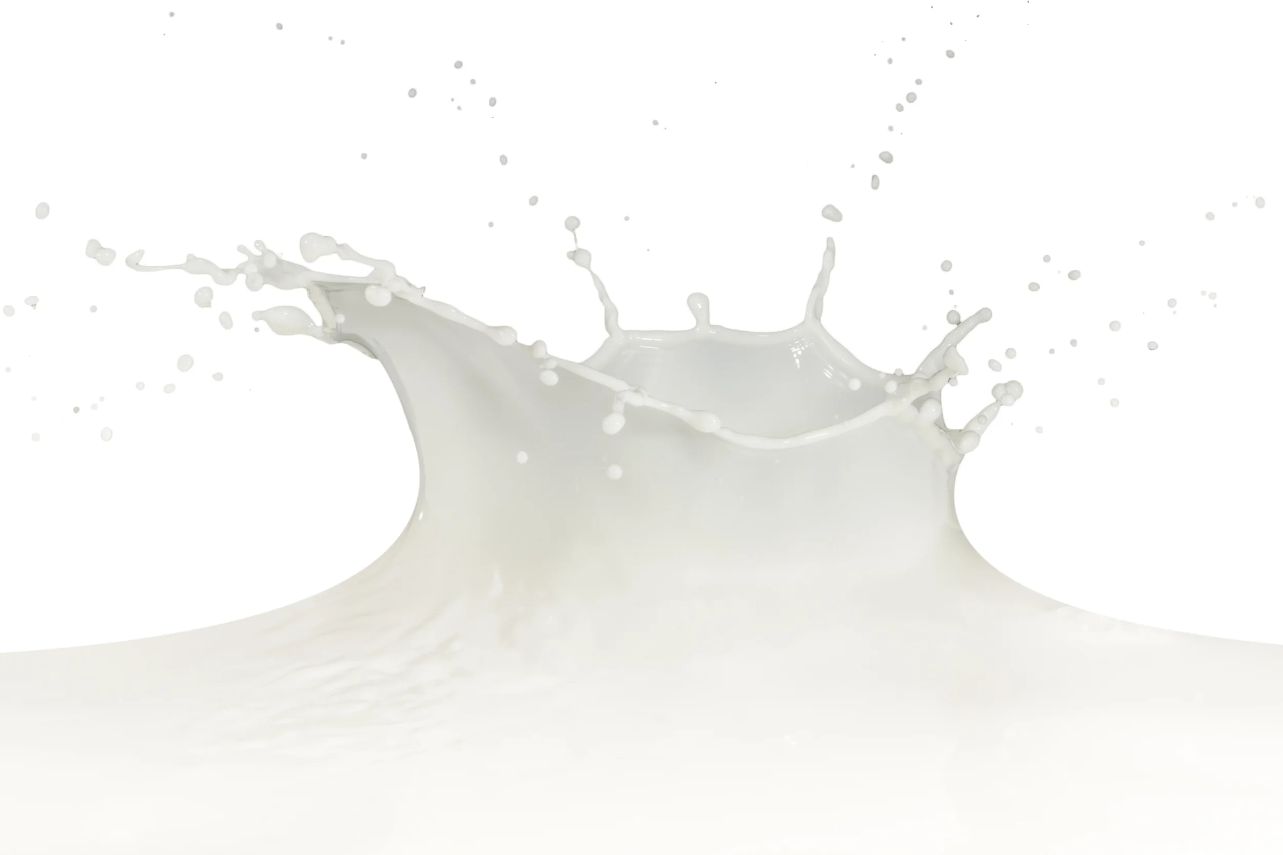 shutterstock_179364185.jpg
