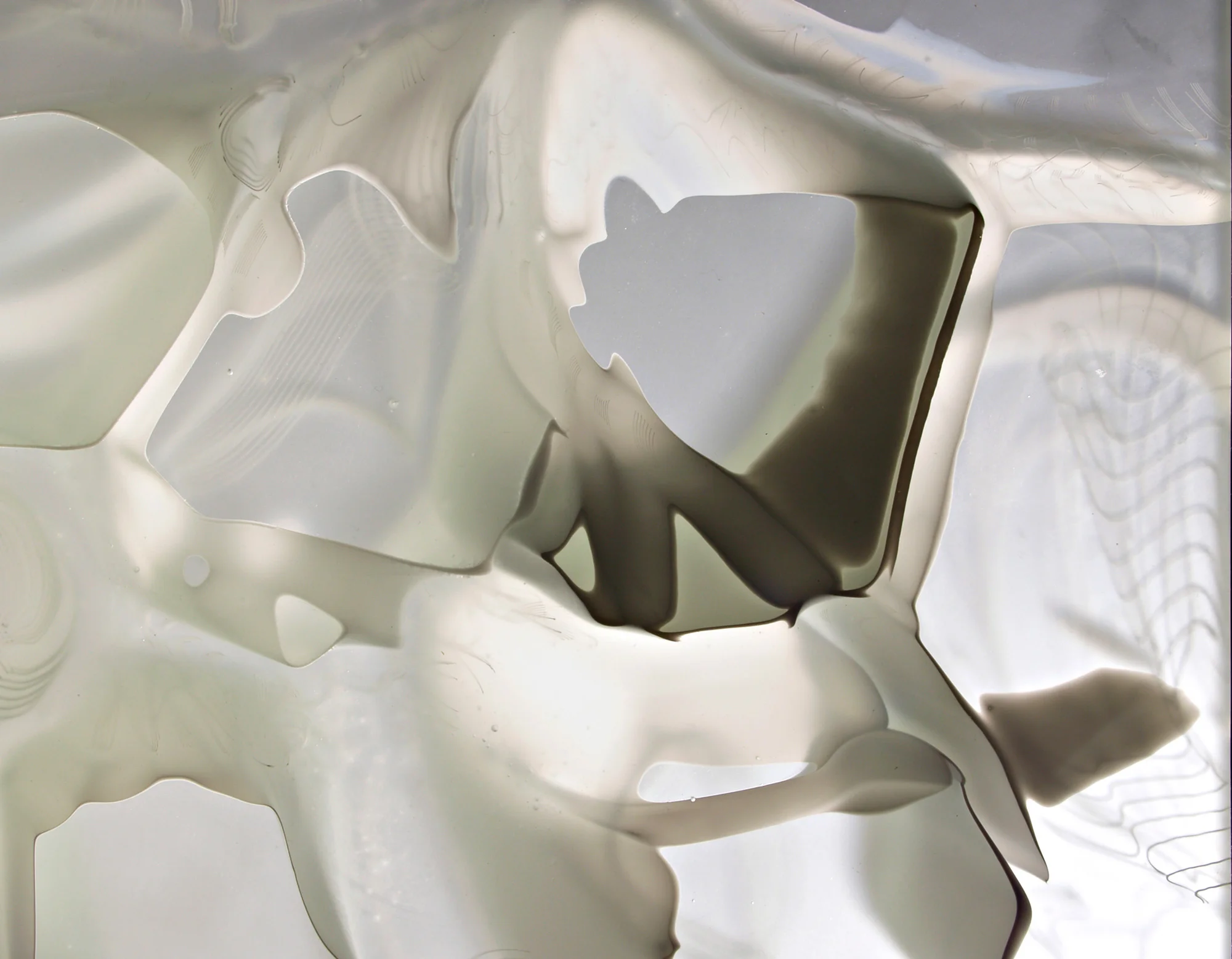 White-canes-detail.jpg