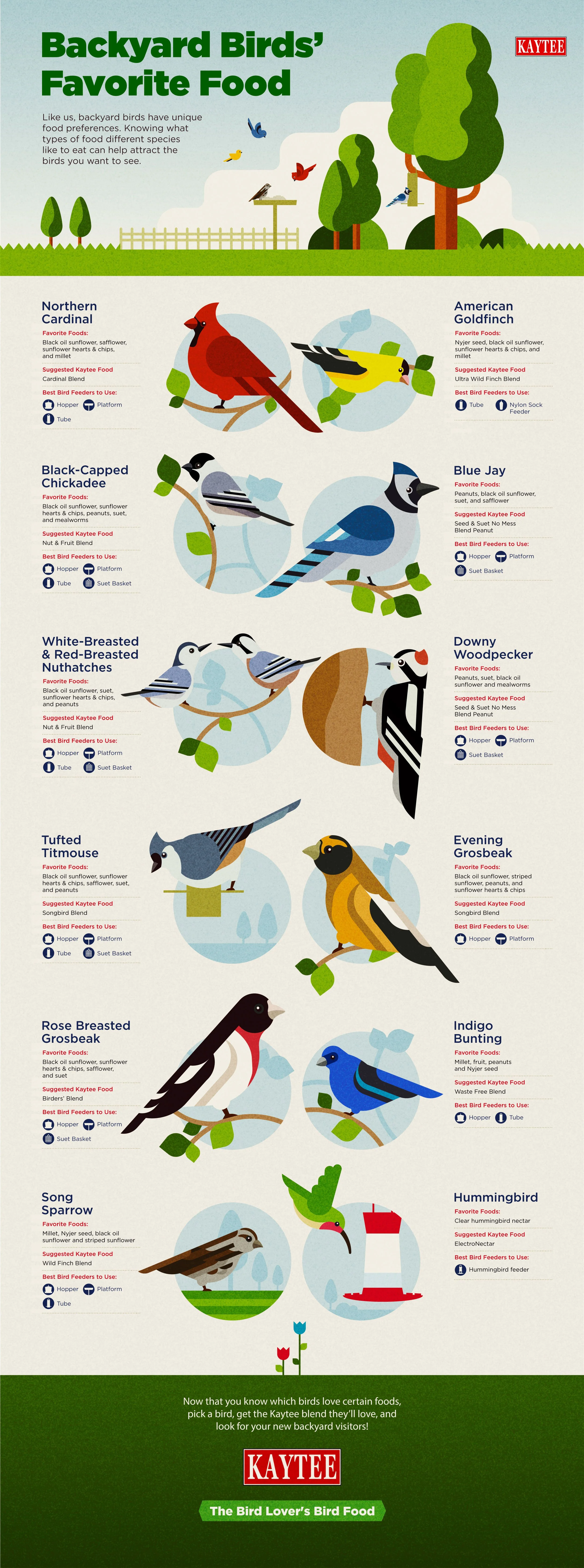 BackyardBirds_final_squarespace.jpg