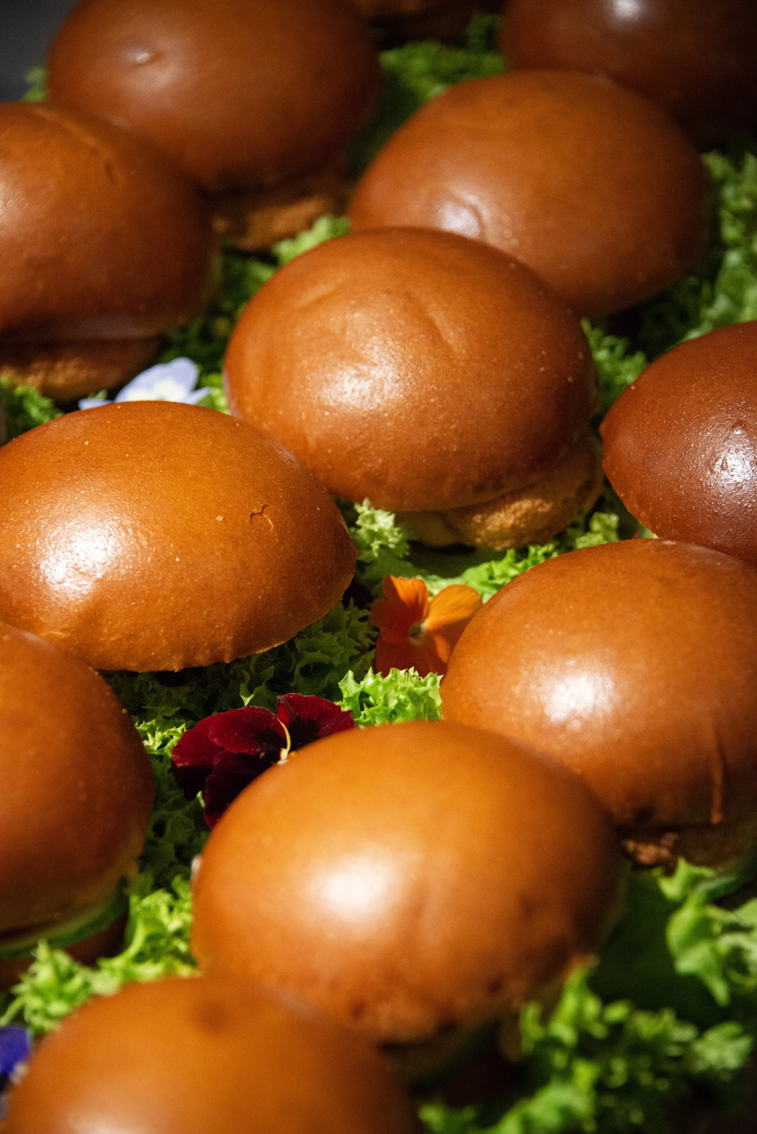 Close-up of several brown mushrooms on green leafy background with small red and purple flowers.
