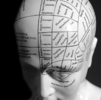 brain