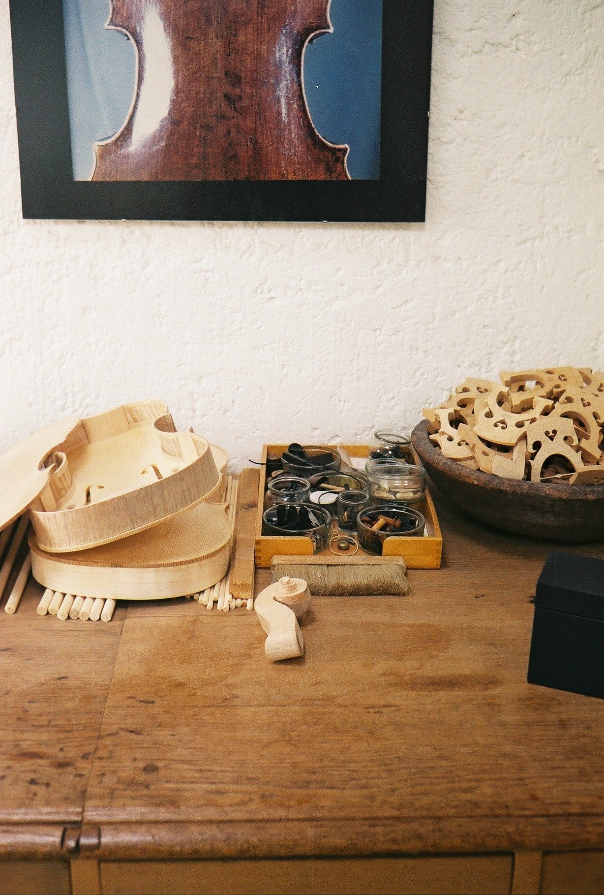 Paraorchestra: The Nature of Why